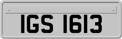 IGS1613