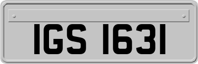 IGS1631