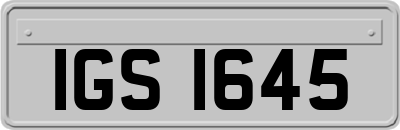IGS1645