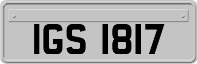 IGS1817