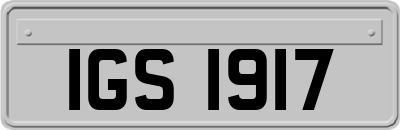 IGS1917