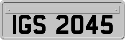 IGS2045