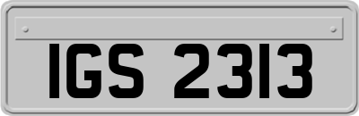 IGS2313