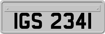 IGS2341