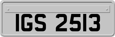 IGS2513