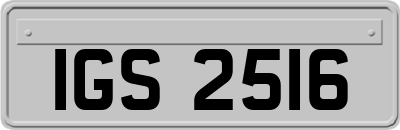 IGS2516