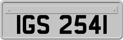IGS2541