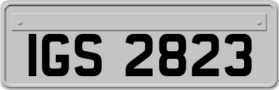 IGS2823