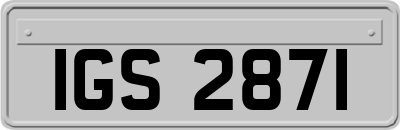 IGS2871