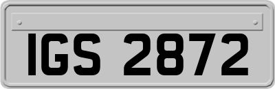IGS2872