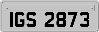 IGS2873