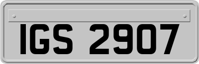 IGS2907