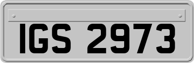 IGS2973