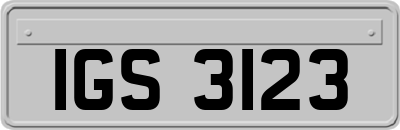 IGS3123