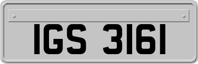 IGS3161
