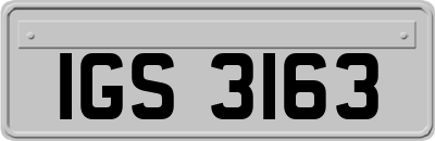 IGS3163