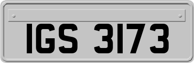 IGS3173