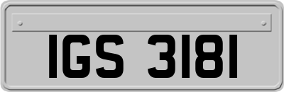 IGS3181
