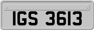 IGS3613