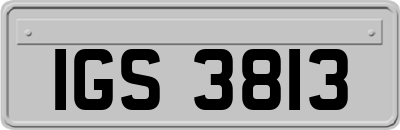 IGS3813