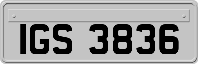 IGS3836