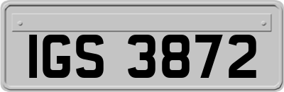 IGS3872