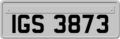 IGS3873
