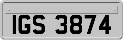 IGS3874