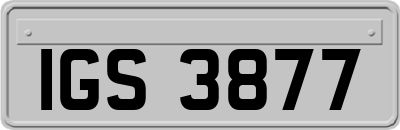 IGS3877