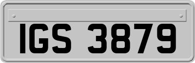 IGS3879
