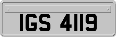 IGS4119