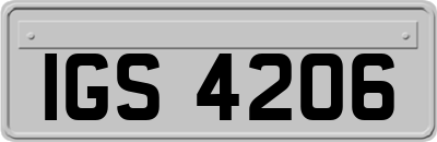 IGS4206