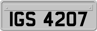 IGS4207
