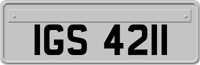 IGS4211