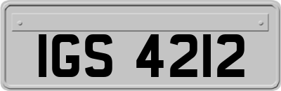 IGS4212