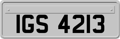 IGS4213