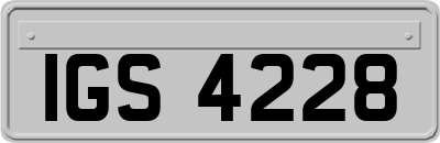 IGS4228