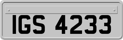 IGS4233