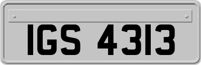 IGS4313