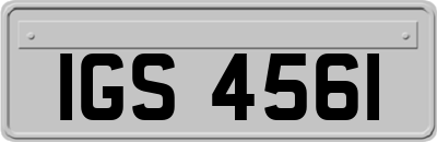 IGS4561