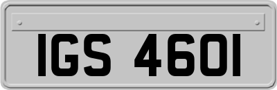 IGS4601