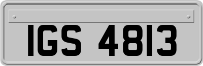IGS4813