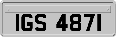 IGS4871