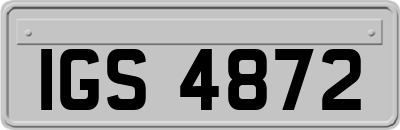 IGS4872