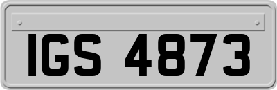 IGS4873