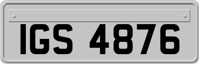 IGS4876