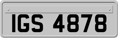 IGS4878