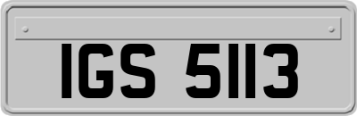 IGS5113