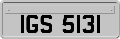 IGS5131