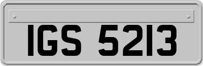 IGS5213